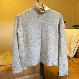 Cashmere gray speckle Everlane sweater